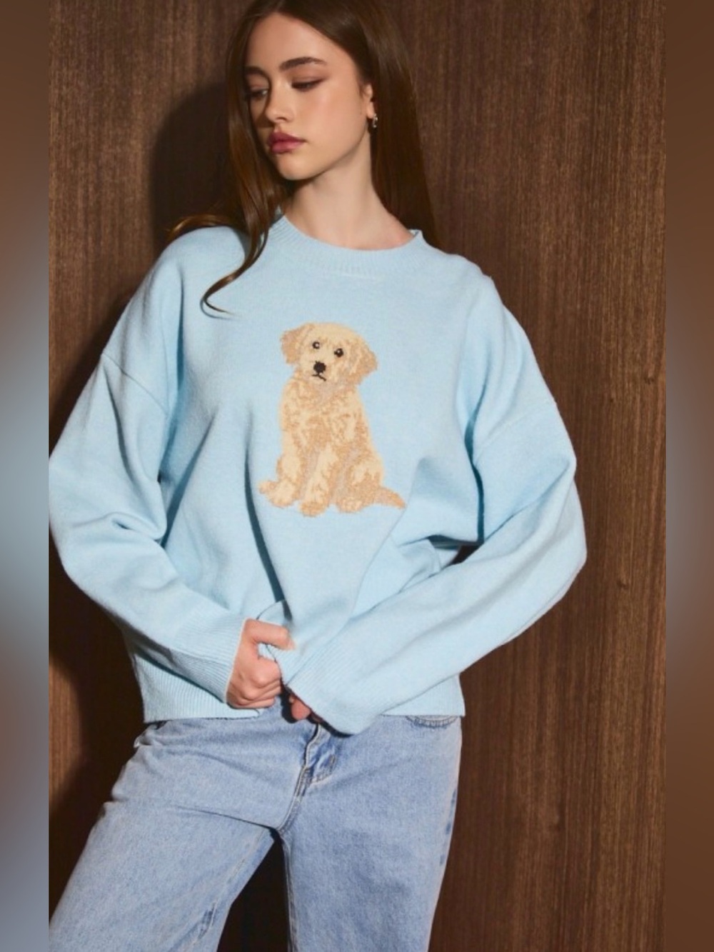 Light Blue Golden Doodle Graphic Sweater- oversized